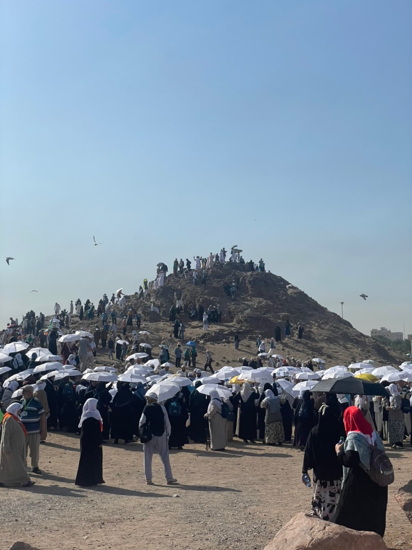 جبلالرماة در منطقه احد